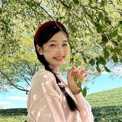 第七大陆